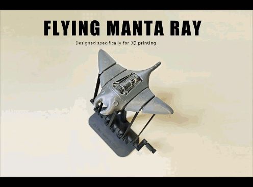 https://makerworld.bblmw.com/makerworld/model/US501c8da042c27e/design/2025-12-25_6920cf99f1e1c.gif