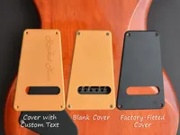 Tremolo Cavity Blank Cover