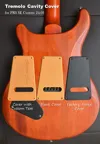 Sample tremolo cavity cover with customizable text