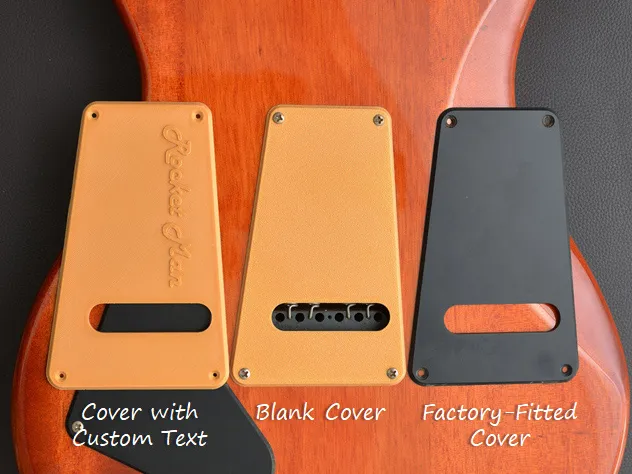 Tremolo & Controls Cavity Covers for PRS SE
