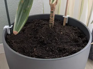 Pflanzstab Halterung