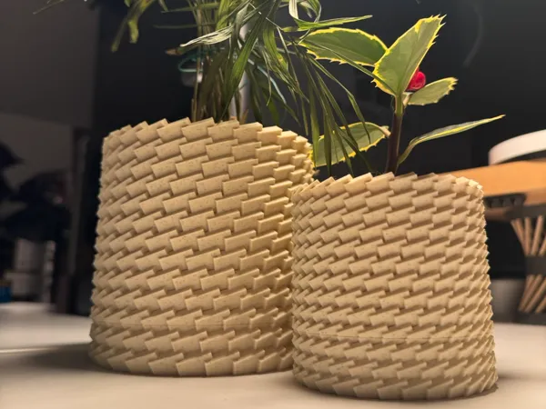 https://makerworld.bblmw.com/makerworld/model/US50230cca362d04/design/2025-01-21_e01791811cf9.jpeg