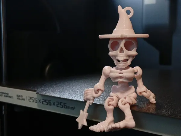 https://makerworld.bblmw.com/makerworld/model/US502689d40760f8/design/2025-10-10_8e00695e94baf.jpeg