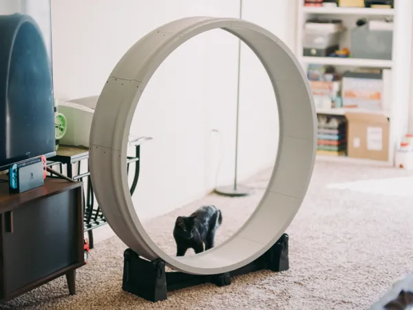 https://makerworld.bblmw.com/makerworld/model/US5029f3f34c31f1/design/2024-08-29_89fc56da6f4be.jpg