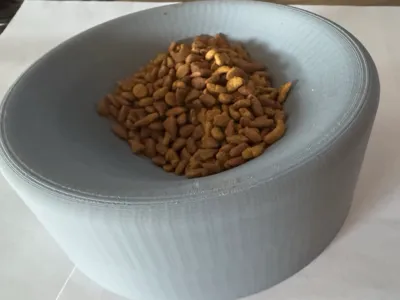 Ultimate Cat Dish