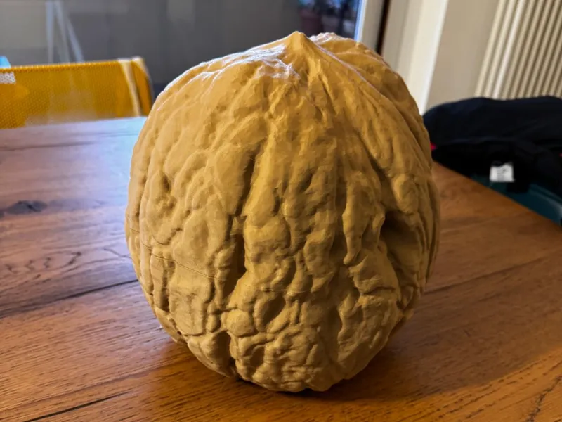 Noce gigante contenitore