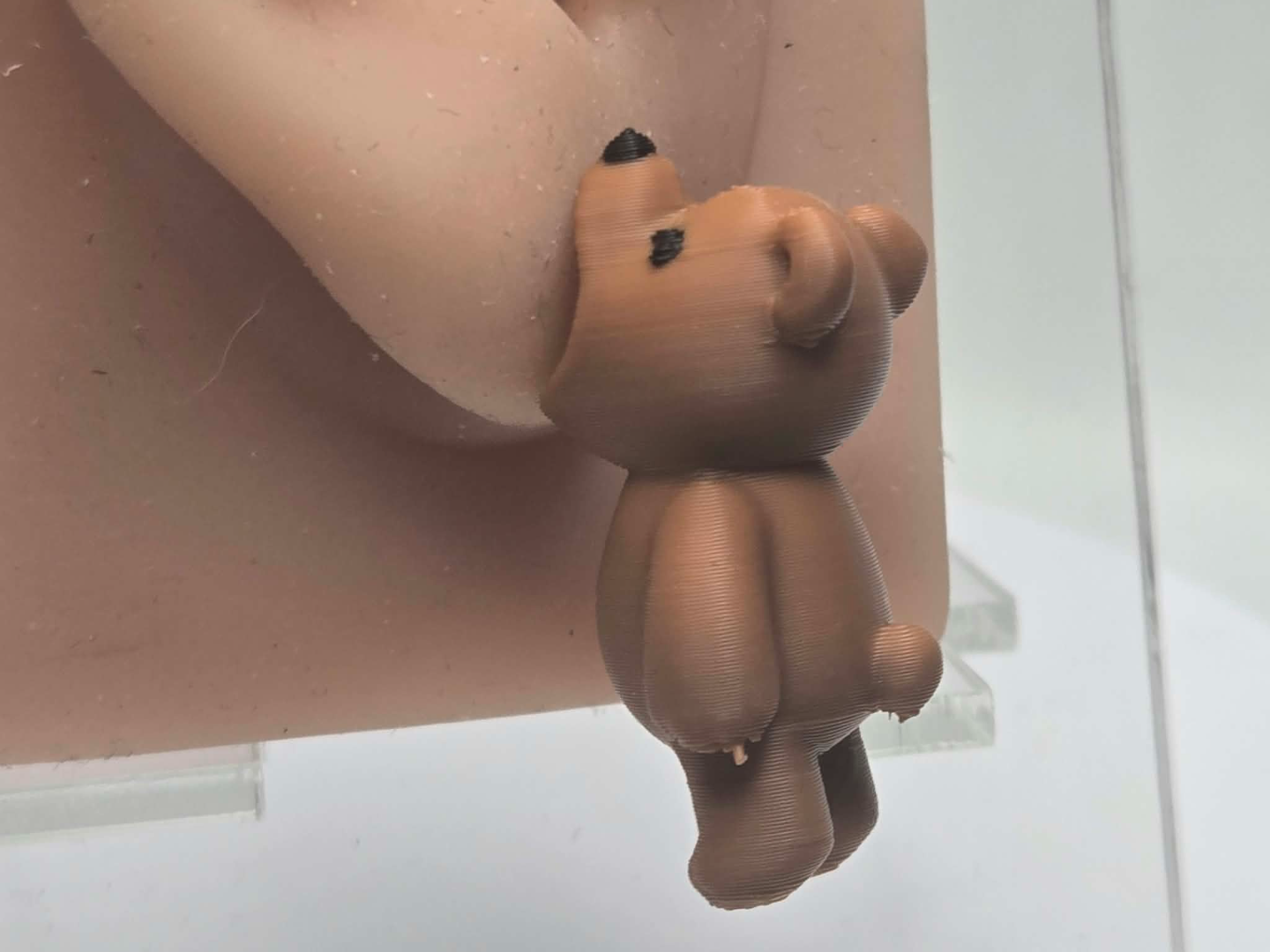 Teddy Bear Chompers 3D model