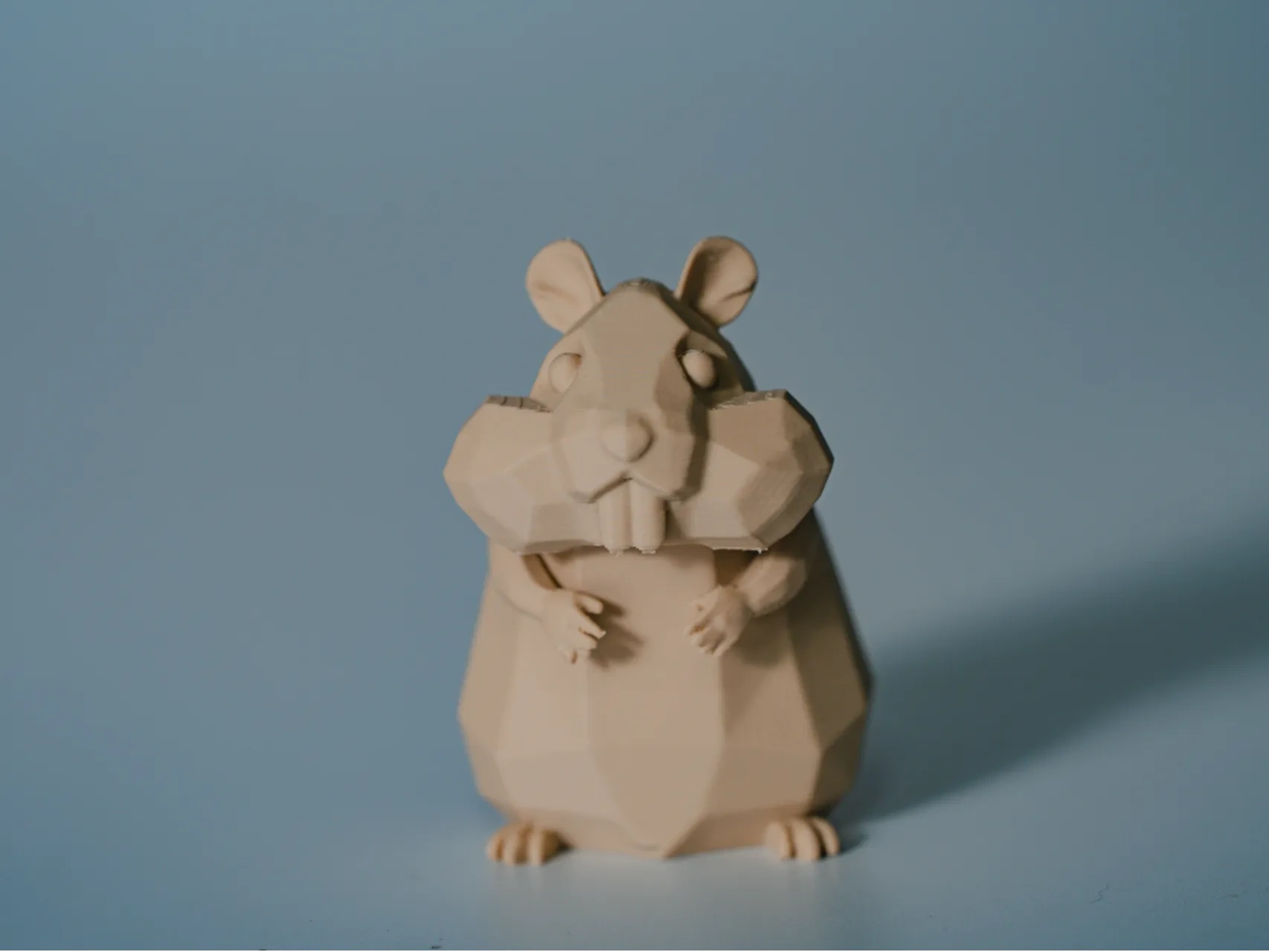 Hamster