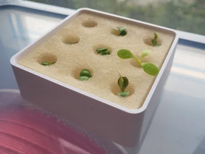 Hydroponic Seedling Box