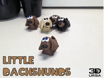 Little Dachshund Longhaired