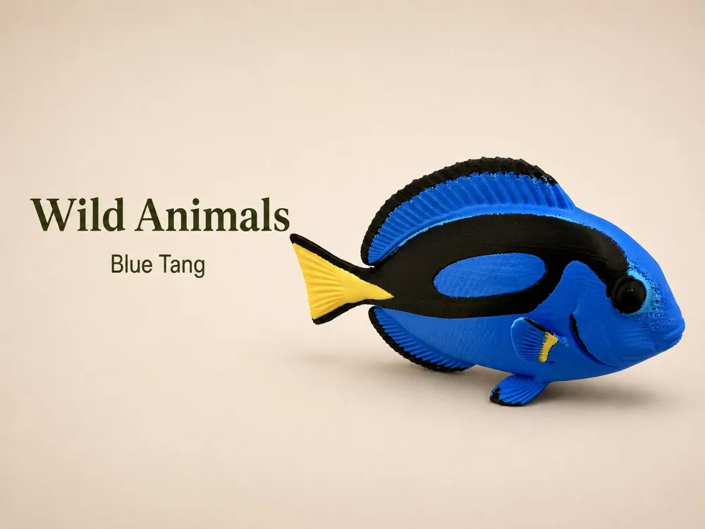 Modelo para impresión 3D: Blue Tang. Referencia del modelo original.