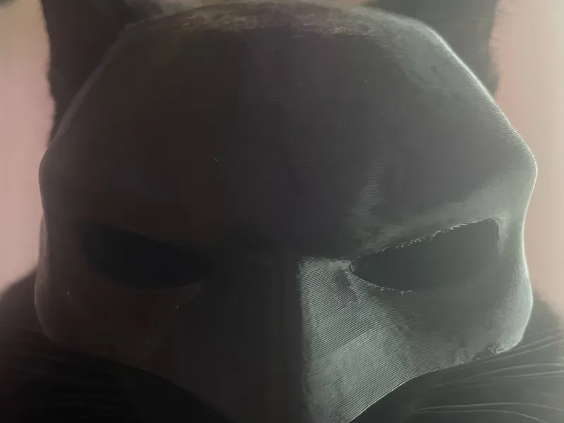bat cat at 70% scale