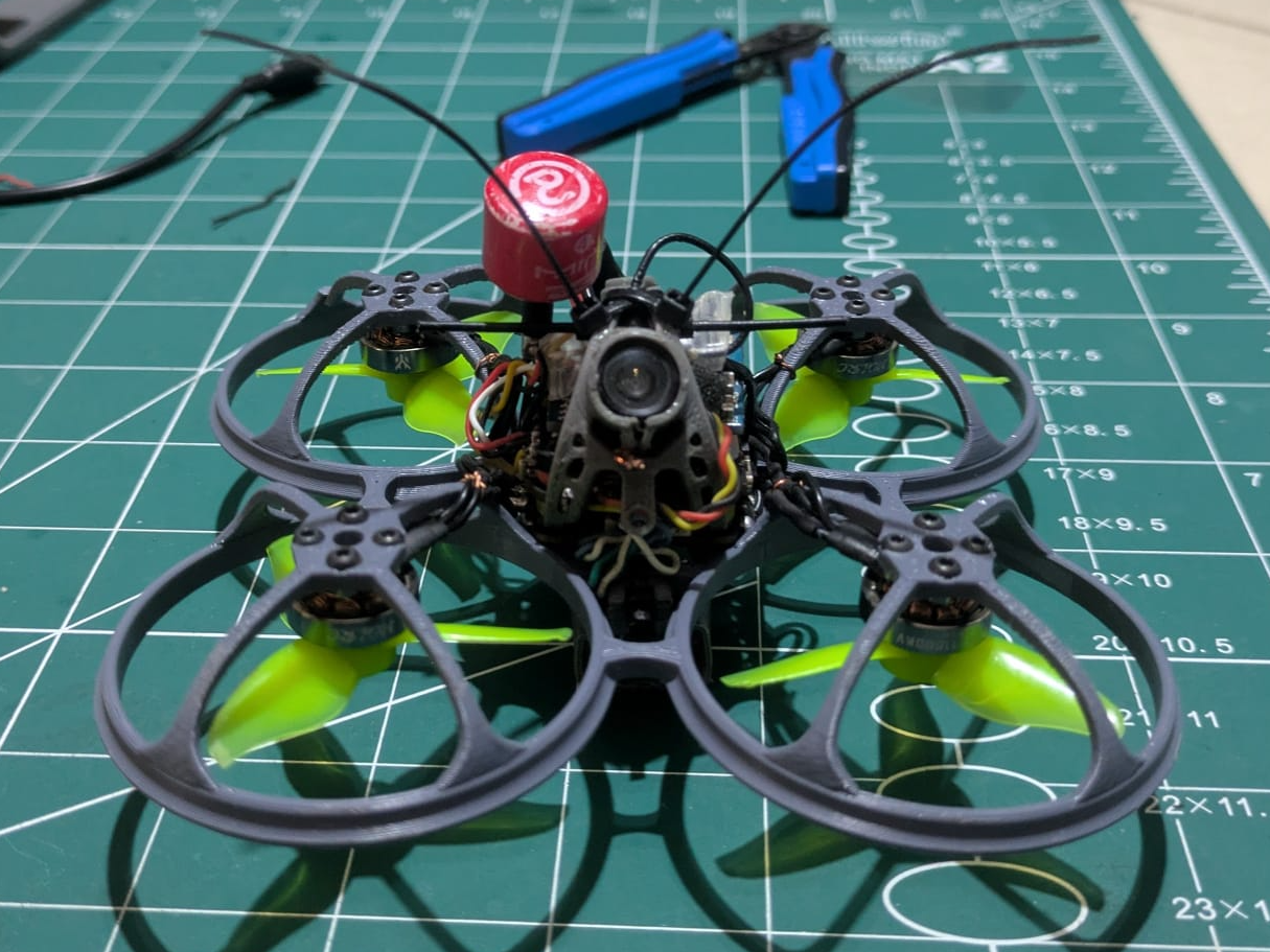 "The Roach" 2 inch Whoop Frame