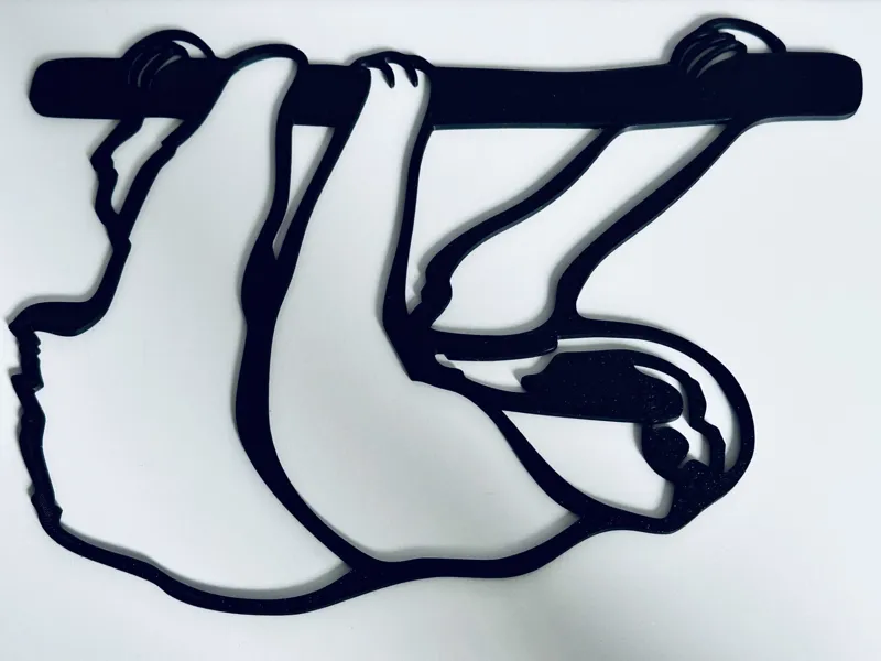 2D Wall Art - Sloth