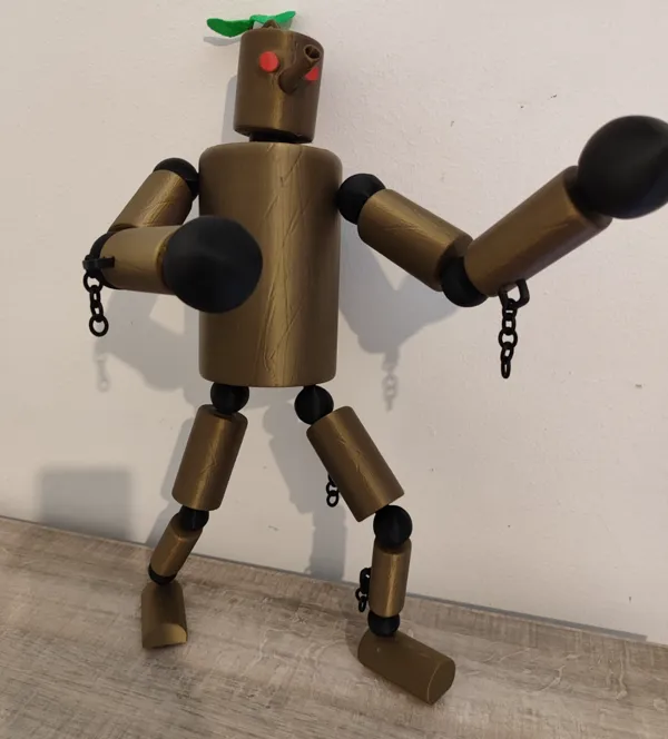 https://makerworld.bblmw.com/makerworld/model/US504ab54ca0da97/design/2024-08-16_bacad2048a2eb.jpg