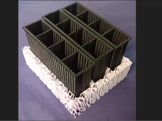 Seedling shells and artistic support box.