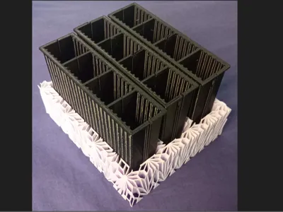 Seedling shells and artistic support box.