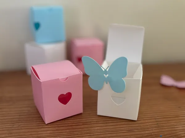 https://makerworld.bblmw.com/makerworld/model/US504cfb0a010848/design/2024-06-13_b4894a30743828.jpg