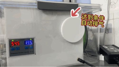 四盘位烘干箱|成本100|无人值守全自动