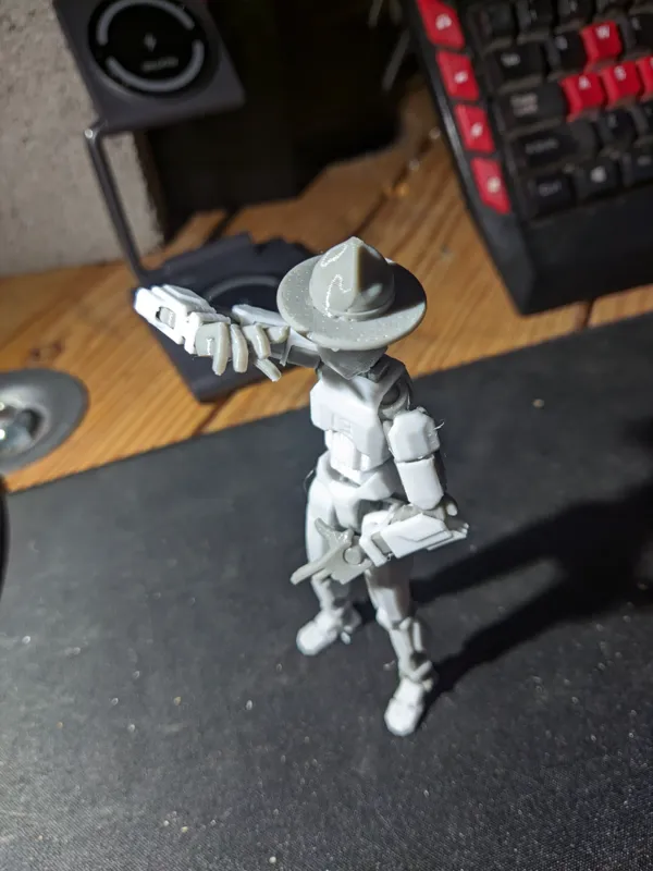 https://makerworld.bblmw.com/makerworld/model/US5055f3074c006c/design/2024-01-11_ef4a53f938dd5.jpg