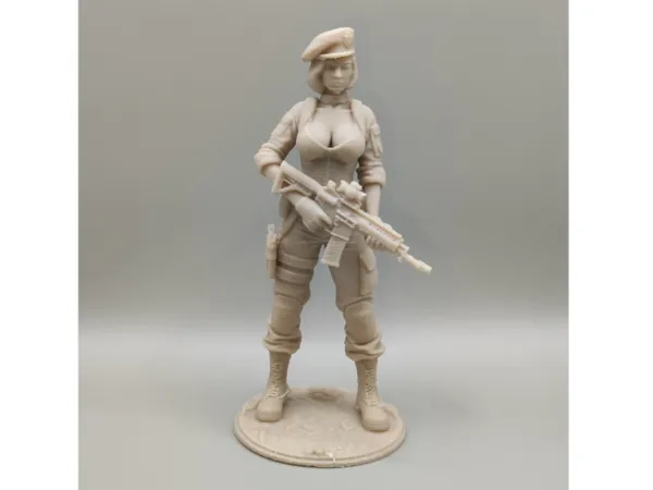 https://makerworld.bblmw.com/makerworld/model/US50561979a406cf/design/2025-11-24_2577b2b712022.jpg
