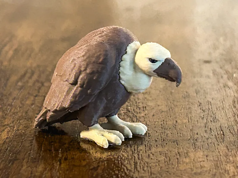 Vulture