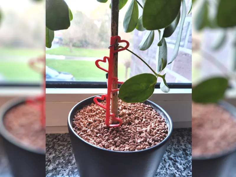 Heart Plant Support