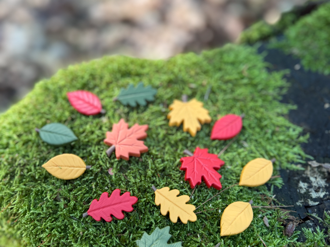 Forest Leaves – Maple, Oak & Beech - 1