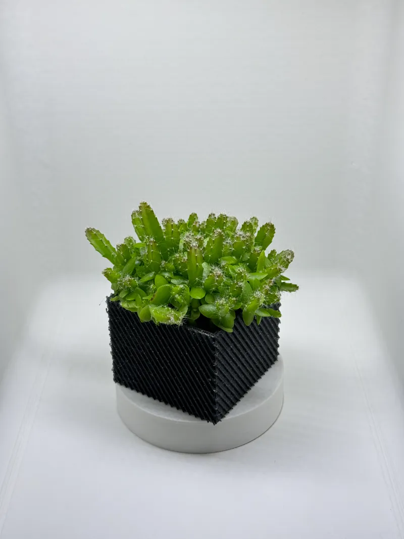Modern Square Planter