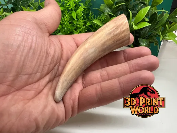 https://makerworld.bblmw.com/makerworld/model/US5075a9bc8b678e/design/2025-03-15_65b422a601812.png