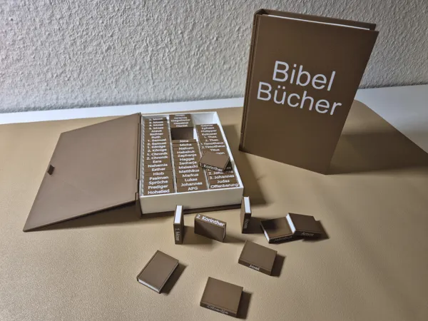 https://makerworld.bblmw.com/makerworld/model/US50781e6674612a/design/5298936dc1de9c40.jpg