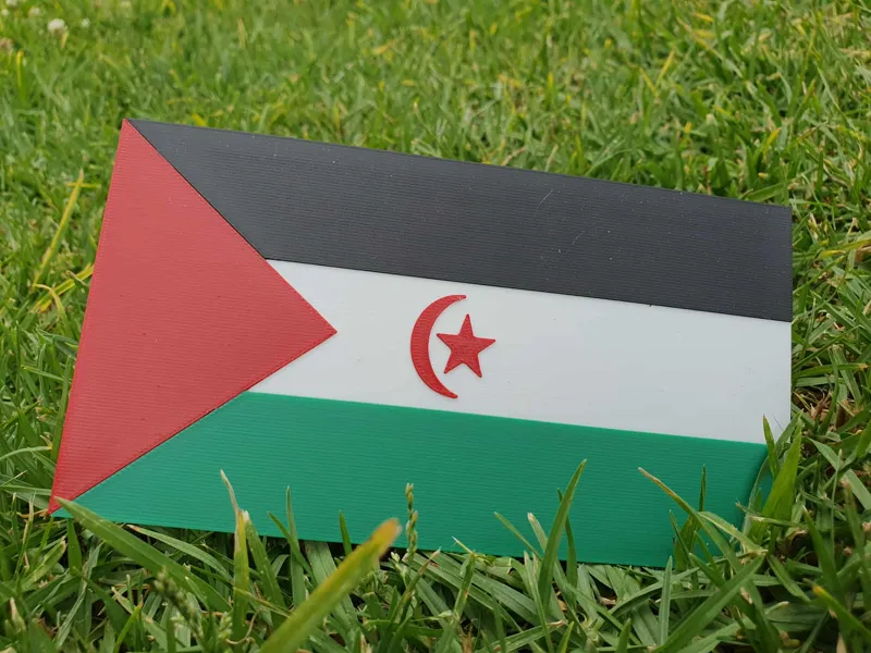 Western Sahara Flag