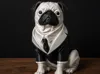 fbi pug ams rdy 