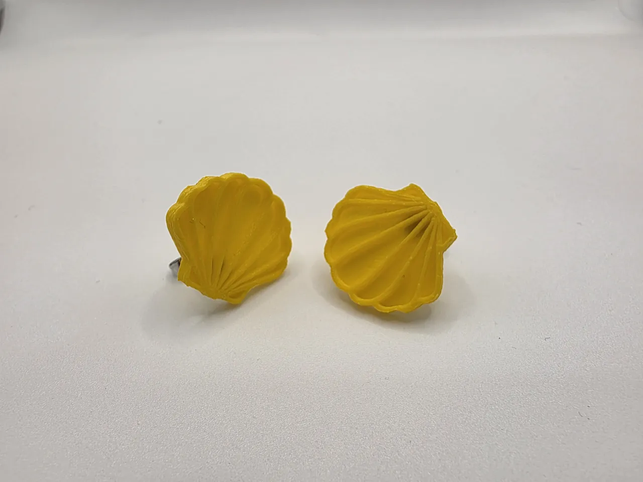 Sea Shell Earrings view 4
