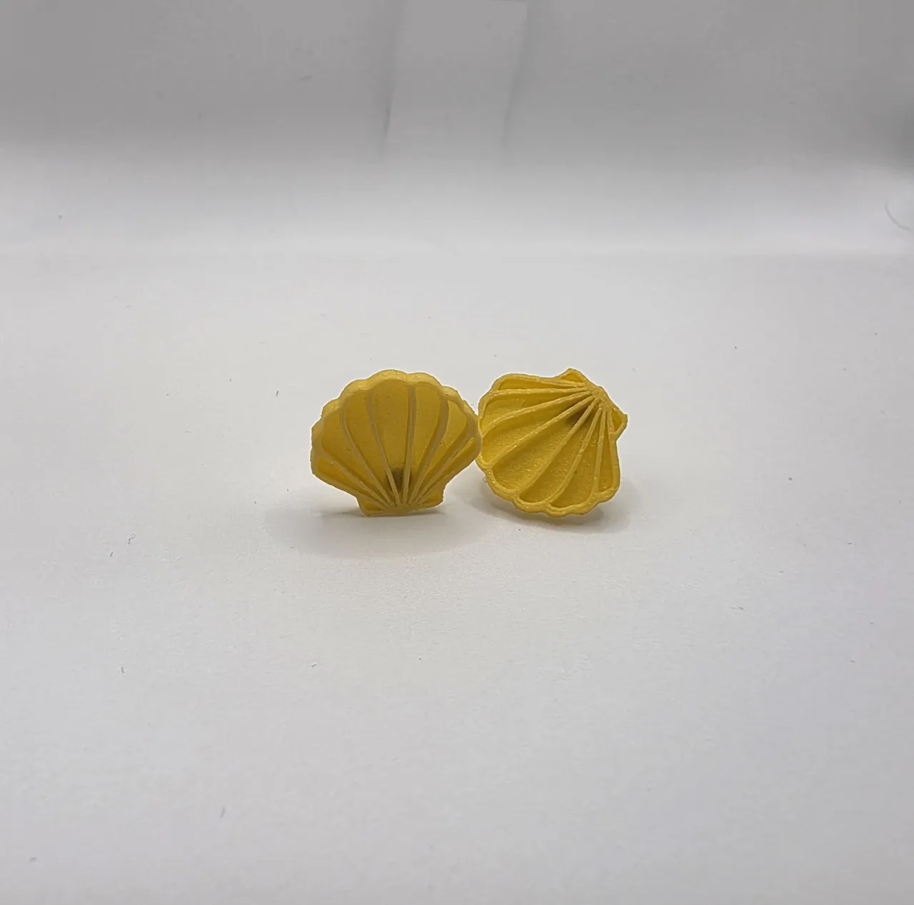Sea Shell Earrings view 2