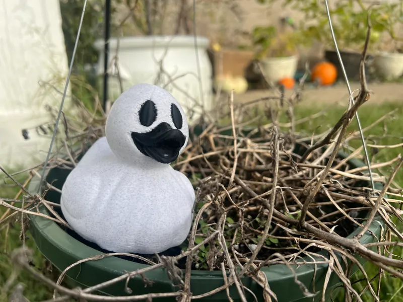 Ghostly Ducky