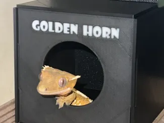 守宫房子 reptile home