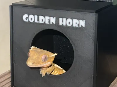 gecko house reptile home