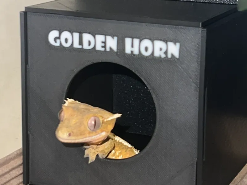 守宫房子 reptile home