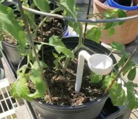 Paille d'arrosage de précision pour plantes — photo 4