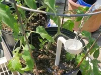 Paille d'arrosage de précision pour plantes — photo 1