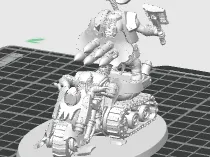 https://makerworld.bblmw.com/makerworld/model/US50912f5927d113/design/c3d9d8c5a7a9e0a2.png