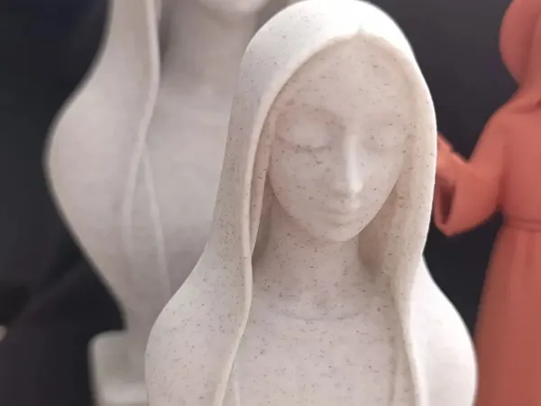 https://makerworld.bblmw.com/makerworld/model/US5091a18b51dad0/design/2025-12-20_a1659c66a838b.jpeg