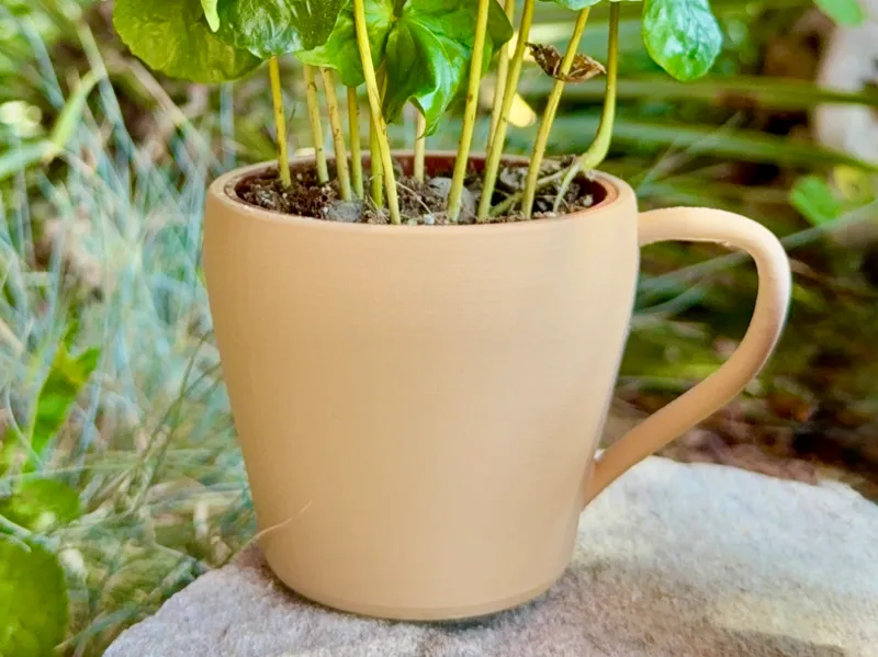 Coffee cup