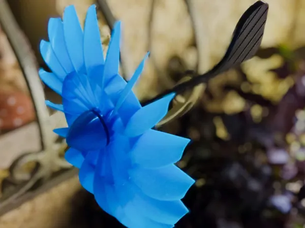 https://makerworld.bblmw.com/makerworld/model/US509f6c0cea781e/design/2024-11-11_eb7b0e2e2a2f2.jpg