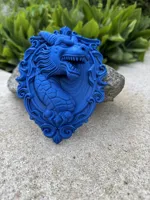 Blason tête de dragon — photo 2