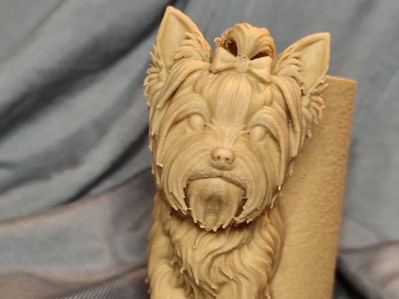 Yoschi Yorkshire Terrier