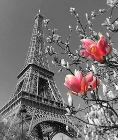 Eiffel  Tower Flower HueForge Color-pop