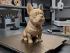 0.12mm layer, 2 walls, 10% infill