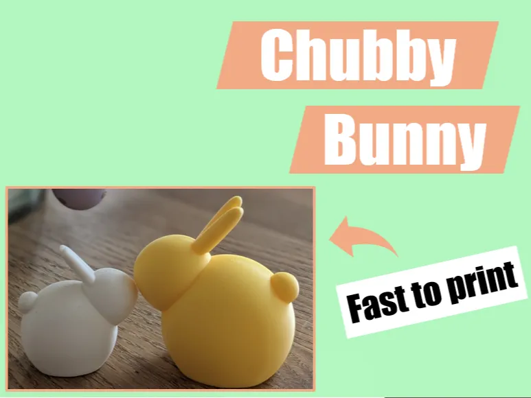 Cute Chubby Bunny